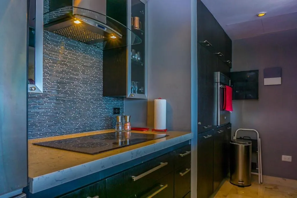 פלאייה דל כרמן Elements Penthouse 24 Condo